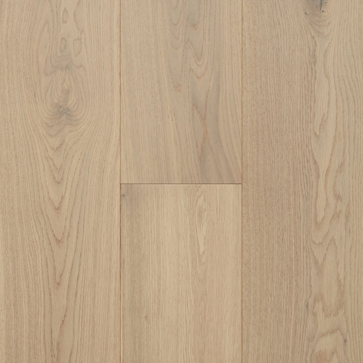 Australian Select Timbers Coastline European Oak Engineered Timber Flooring 14.5/3mm Marlo Swatch
