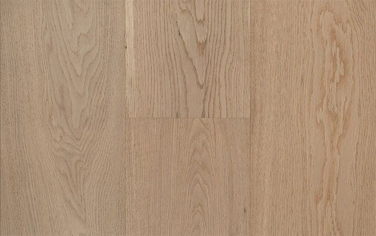 Australian Select Timbers Coastline European Oak Engineered Timber Flooring 14.5/3mm Trinity Swatch