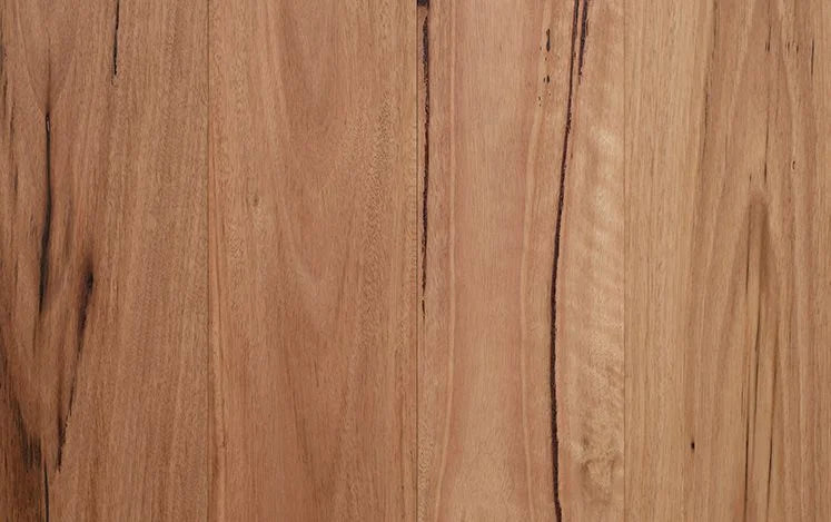 Australian Select Timbers Opulence Native Engineered Timber Flooring 14/3mm 136mm Authentic Blackbutt 1820mm Bevelled Edge Swatch