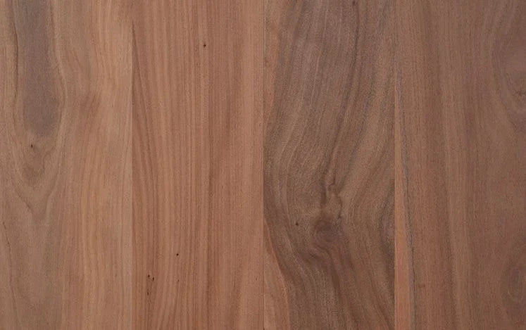 Australian Select Timbers Opulence Native Engineered Timber Flooring 14/3mm 136mm Brushbox 1820mm Square Edge Swatch