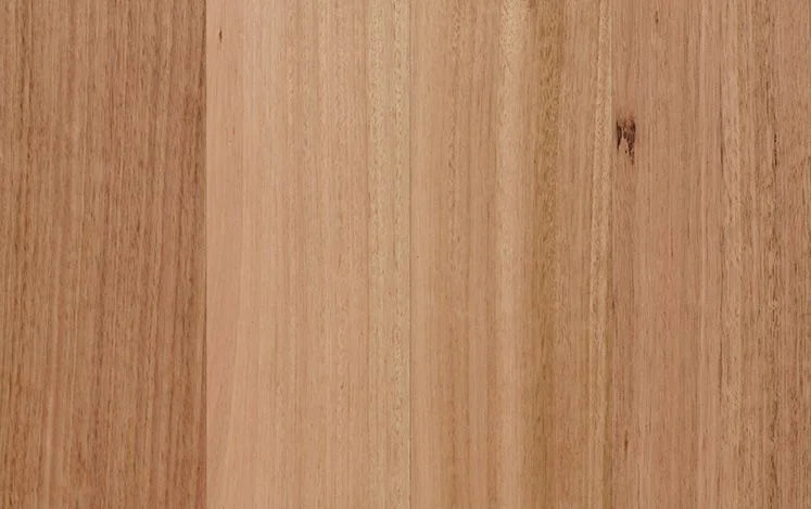 Australian Select Timbers Opulence Native Engineered Timber Flooring 14/3mm 136mm Tasmanian Oak 2130mm Square Edge Swatch