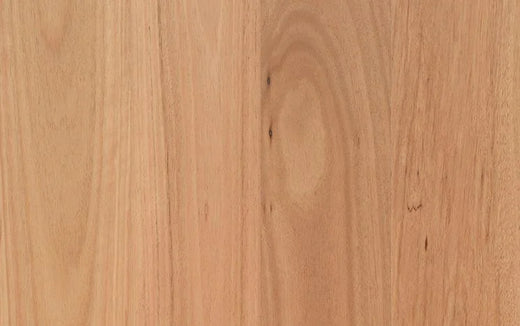 Australian Select Timbers Opulence Native Engineered Timber Flooring 14/3mm 180mm Coastal Blackbutt Swatch
