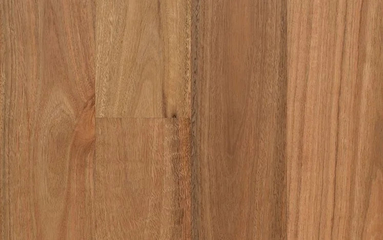 Australian Select Timbers Opulence Native Engineered Timber Flooring 14/3mm 180mm Spotted Gum Swatch