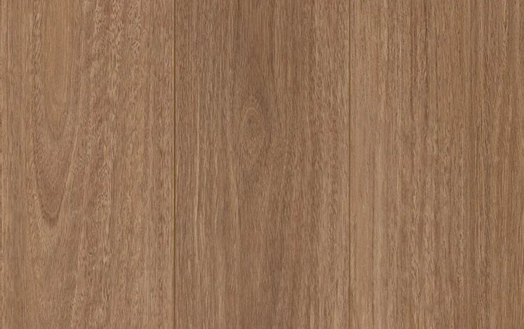 Australian Select Timbers Reflections LifeStyle+ Laminate Flooring 8mm Ravine Blackbutt Swatch