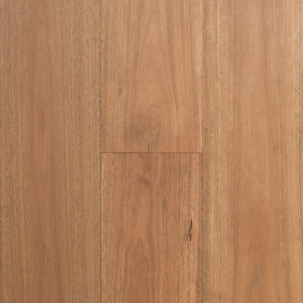 Australian Select Timbers Regency Infinite Australian Hardwood Engineered Timber Flooring 14/3mm Spotted Gum Swatch
