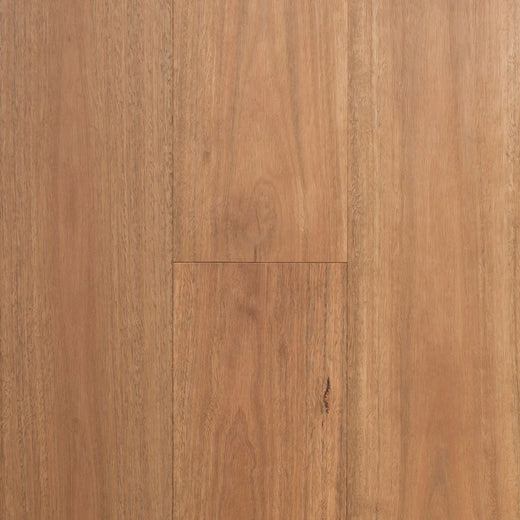 Australian Select Timbers Regency Infinite Australian Hardwood Engineered Timber Flooring 14/3mm Spotted Gum Swatch