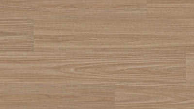 Clever Choice Enchanted Hybrid Flooring 7.5mm Titania Blackbutt Swatch