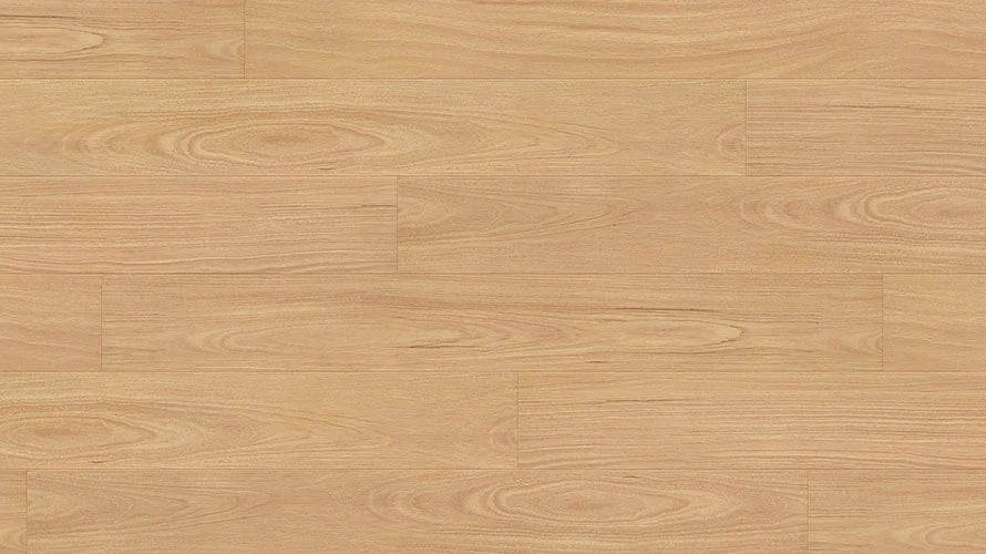 Clever Choice Hydro Merit AC4 Laminate Flooring 12mm Crimson Ruby Blackbutt Swatch