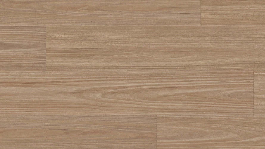 Clever Choice Scenic Hybrid Flooring 10mm Palmcove Blackbutt Swatch