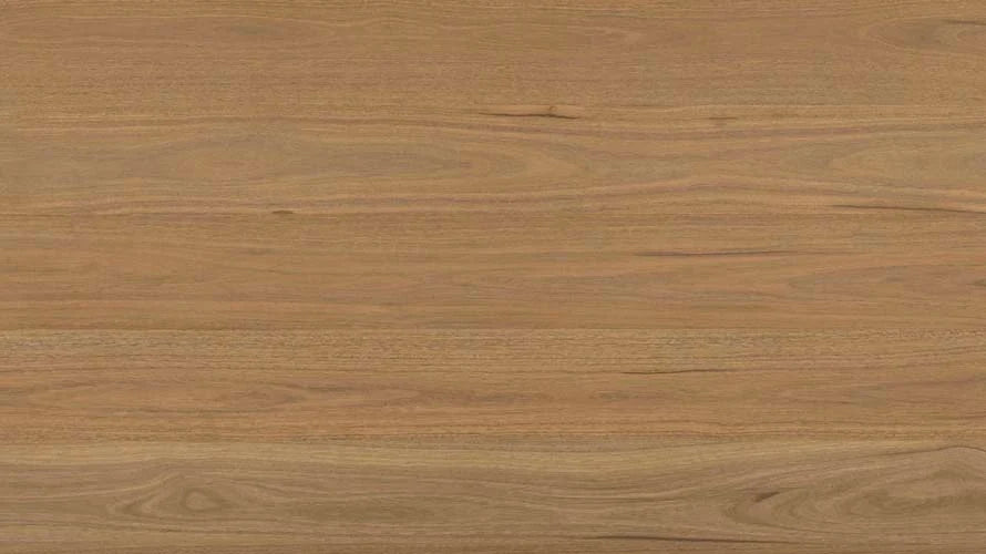 Clever Choice Shield Everlast Herringbone Laminate Flooring 10mm Atlantic Spotted Gum Swatch