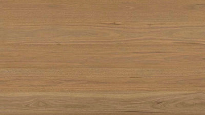 Clever Choice Shield Everlast Herringbone Laminate Flooring 10mm Atlantic Spotted Gum Swatch