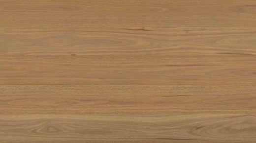 Clever Choice Shield Everlast Herringbone Laminate Flooring 10mm Atlantic Spotted Gum Swatch