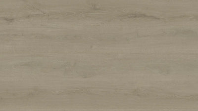 Clever Choice Shield Everlast Laminate Flooring 10mm Lettered Olive flooring swatch