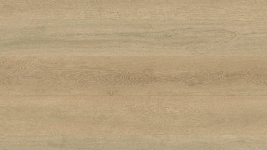 Clever Choice Shield Everlast Laminate Flooring 10mm Zebra Ark flooring swatch