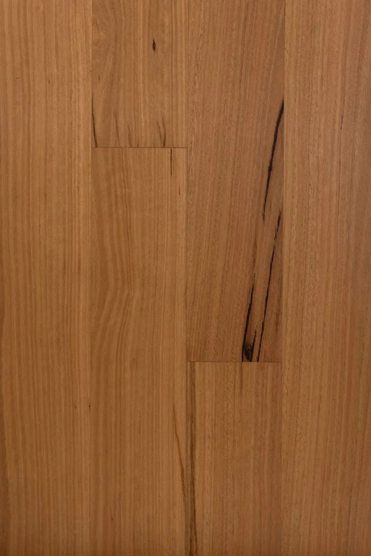 HTT Eucaly Engineered Hardwood Flooring 5G 14/3mm Blackbutt Swatch