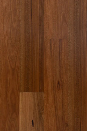 HTT Eucaly Engineered Hardwood Flooring 5G 14/3mm Spotted Gum Swatch
