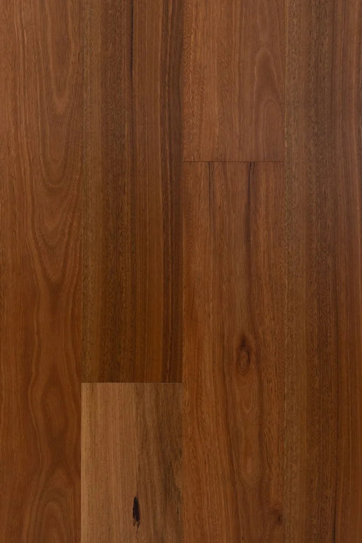 HTT Eucaly Engineered Hardwood Flooring 5G 14/3mm Spotted Gum Swatch