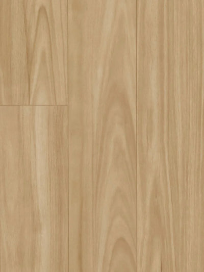 HTT Hydrocore AC4 Laminate Flooring 8mm Blackbutt Swatch