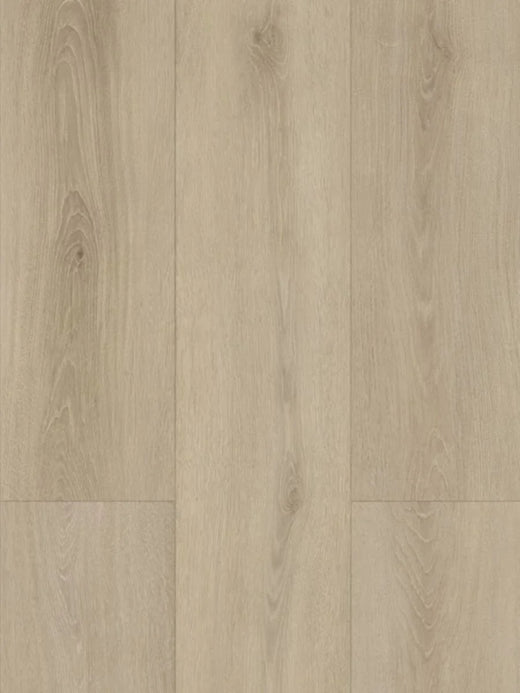 HTT Hydrocore AC4 Laminate Flooring 8mm Golden Fog Swatch