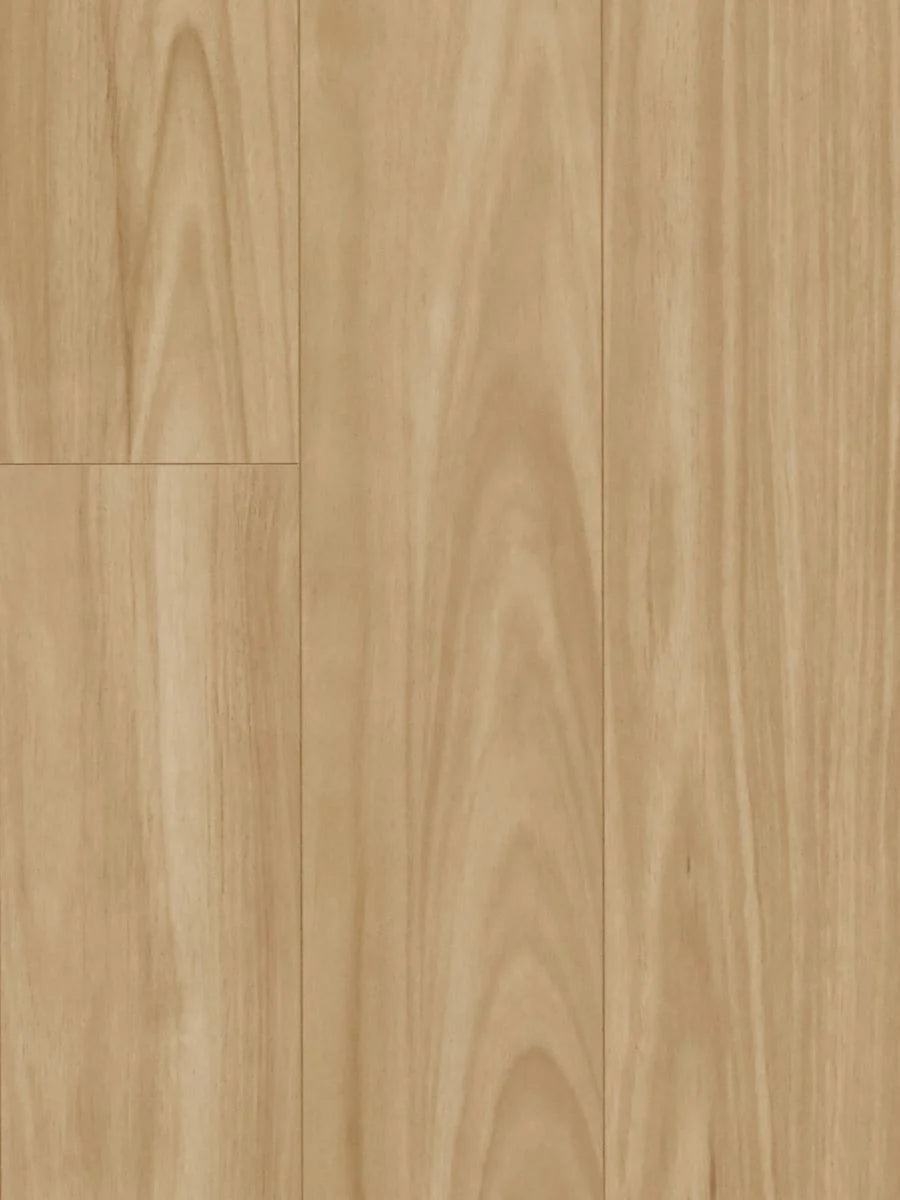 HTT MTF AC4 Laminate Flooring 12mm Blackbutt Swatch