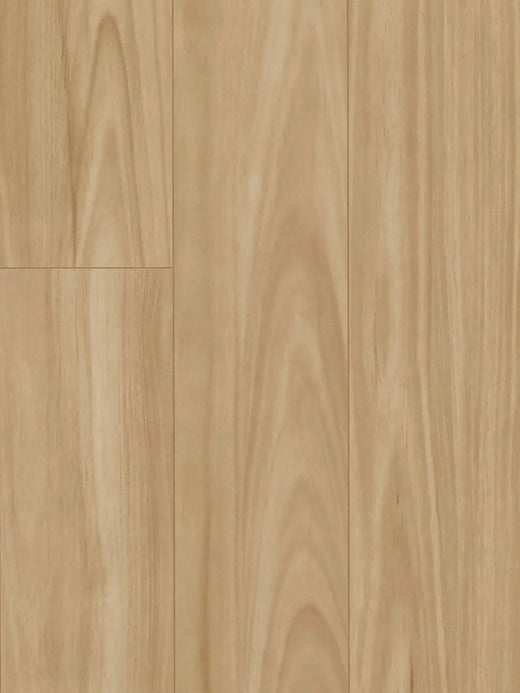 HTT MTF AC4 Laminate Flooring 12mm Blackbutt Swatch