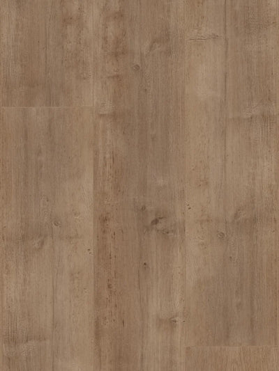 HTT MTF AC4 Laminate Flooring 12mm Coastal Ivory Swatch