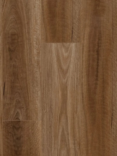 HTT MTF AC4 Laminate Flooring 12mm Spotted Gum Swatch
