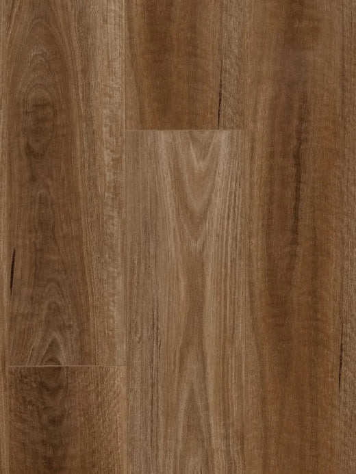 HTT MTF AC4 Laminate Flooring 12mm Spotted Gum Swatch