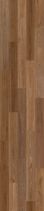 Pallas Quantum Hybrid Flooring 12mm Rich Spotted Gum Swatch