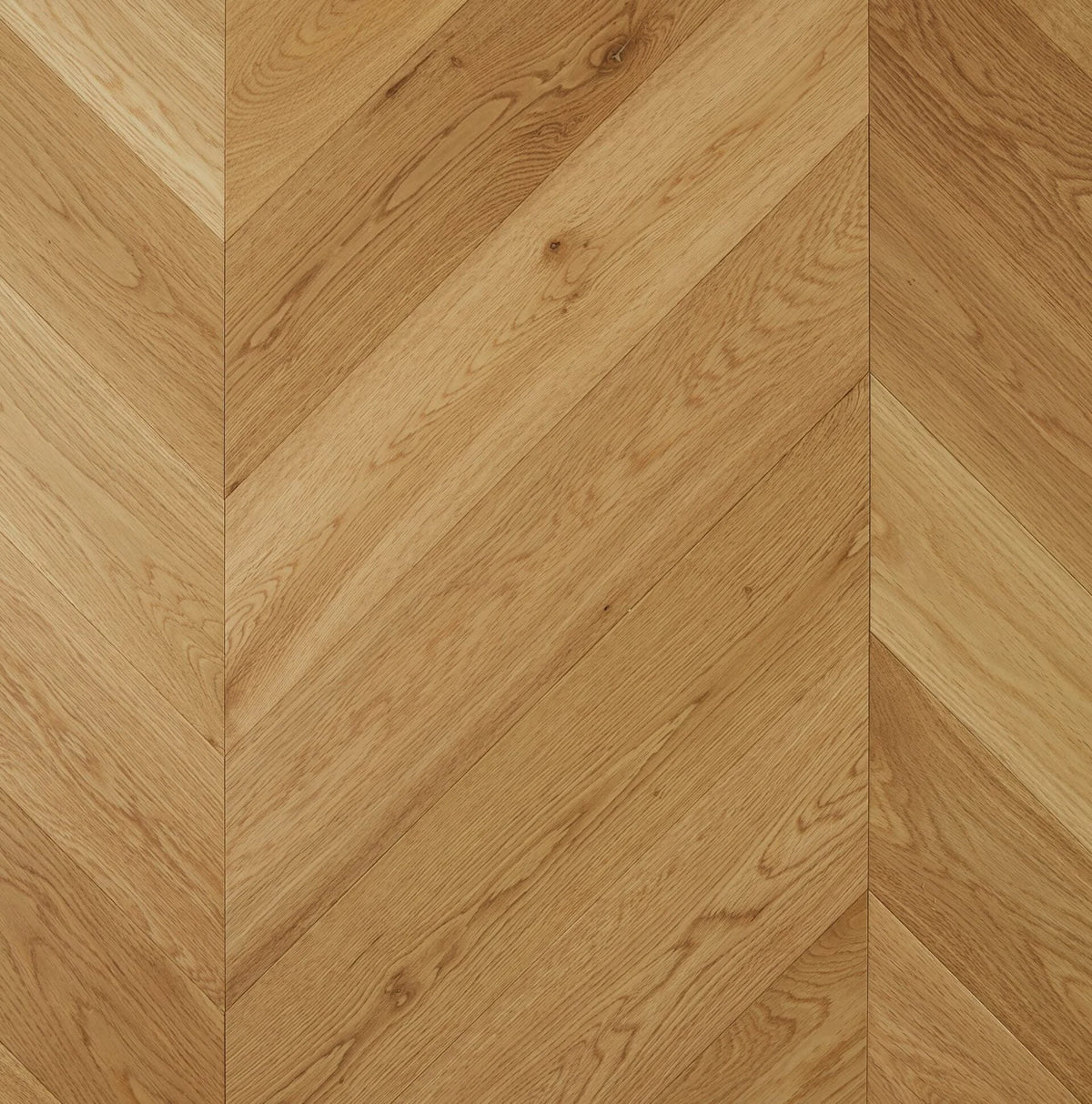 Preference De Marque Oak Chevron Engineered Timber Flooring 15/4mm 120mm Latte Swatch