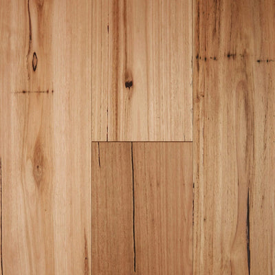 Preference Fiddleback Australian Hardwood Rustic Engineered Timber Flooring 14/3mm 189mm Rustic Blackbutt Swatch