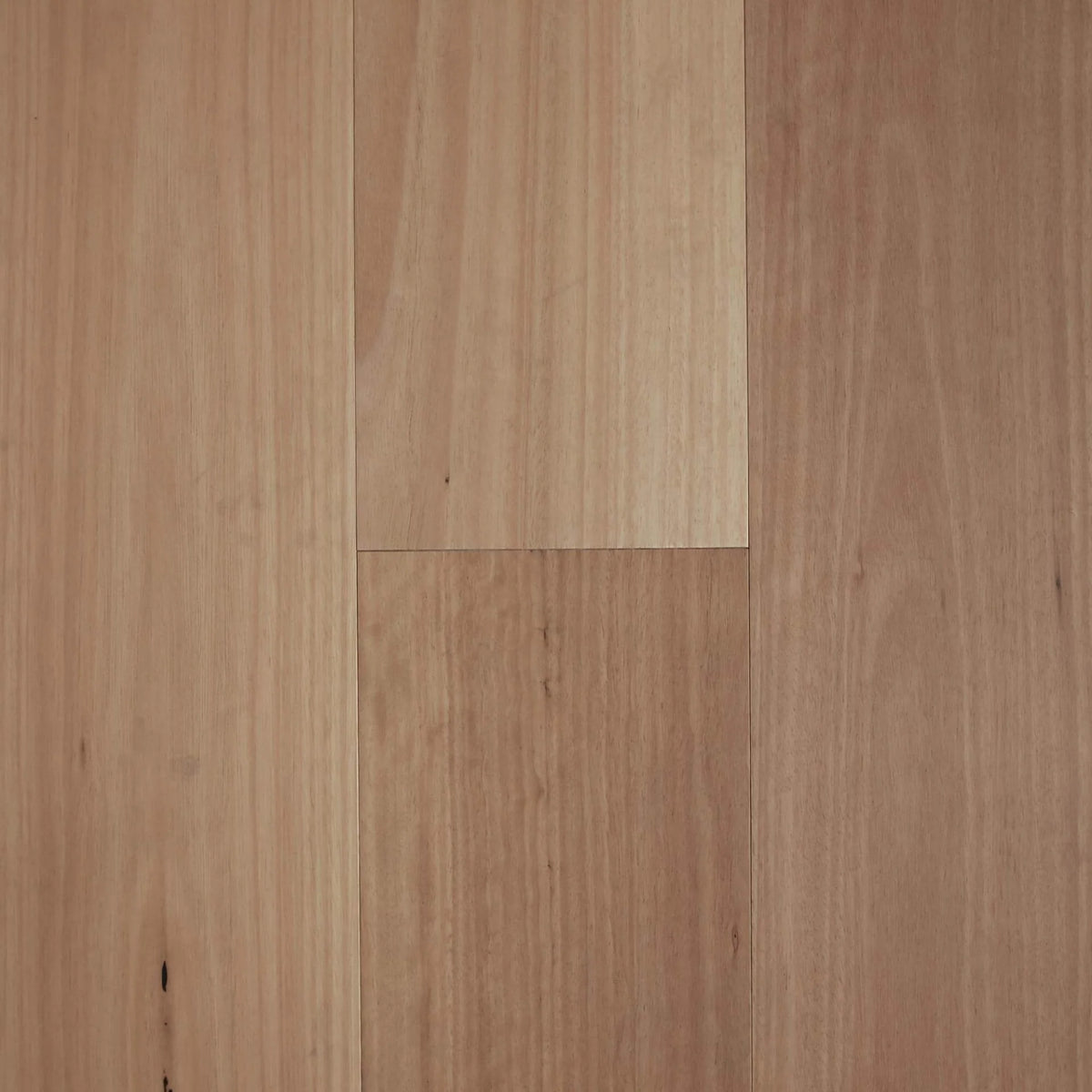 Preference Fiddleback Australian Hardwood Smooth Engineered Timber Flooring 14/3mm 136mm & 189mm Blackbutt Swatch