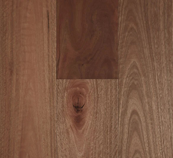 Preference Fiddleback Australian Hardwood Smooth Engineered Timber Flooring 14/3mm 136mm & 189mm Spotted Gum Swatch