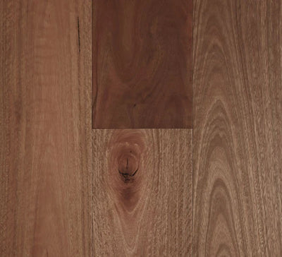Preference Fiddleback Australian Hardwood Smooth Engineered Timber Flooring 14/3mm 136mm & 189mm Spotted Gum Swatch