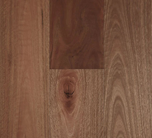 Preference Fiddleback Australian Hardwood Smooth Engineered Timber Flooring 14/3mm 136mm & 189mm Spotted Gum Swatch
