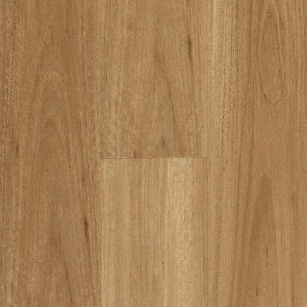Preference Hydroplank WPC 5G Click Hybrid Flooring 7.6mm Blackbutt Swatch