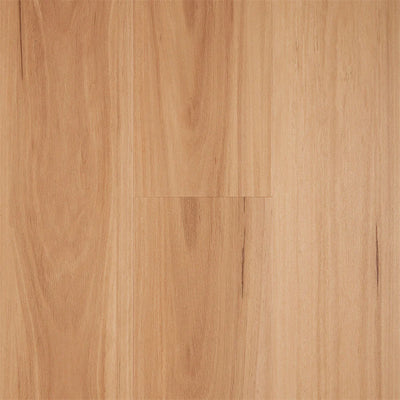 Preference Hydroplank WPC 5G Click Hybrid Flooring 7.6mm Northern Blackbutt Swatch