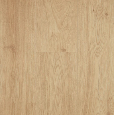 Preference Oakleaf AC3 Laminate Flooring 8mm Barley Husk Swatch