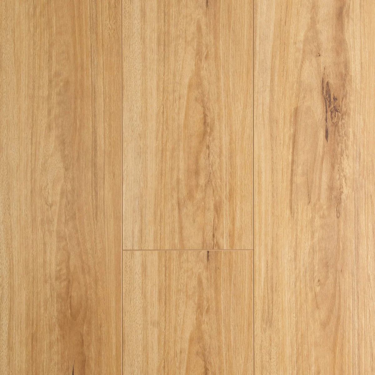Preference Oakleaf AC3 Laminate Flooring 8mm Blackbutt Swatch