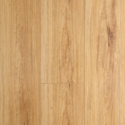 Preference Oakleaf AC3 Laminate Flooring 8mm Blackbutt Swatch