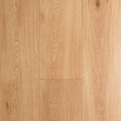 Preference Oakleaf AC3 Laminate Flooring 8mm Classic Oak Swatch