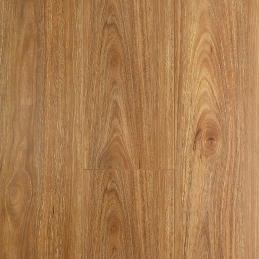 Preference Oakleaf AC3 Laminate Flooring 8mm Spotted Gum Swatch