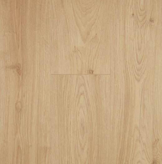 Preference Oakleaf AC4 Laminate Flooring 12mm Barley Husk Swatch
