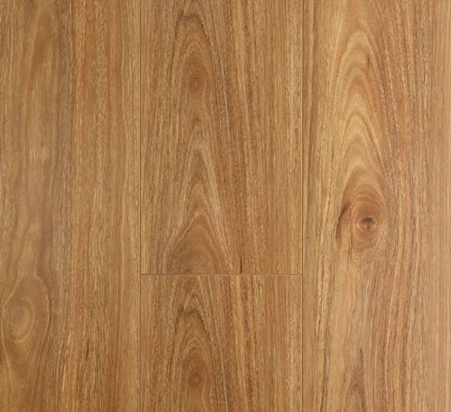 Preference Oakleaf AC4 Laminate Flooring 12mm Spotted Gum Swatch