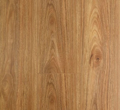 Preference Oakleaf AC4 Laminate Flooring 12mm Spotted Gum Swatch