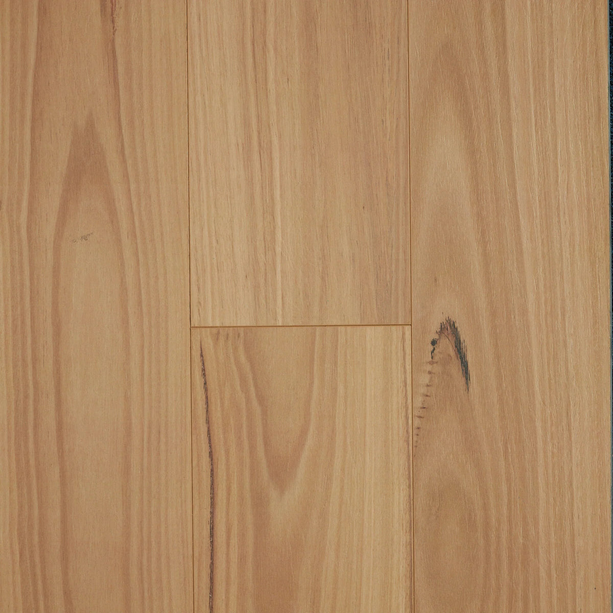 Preference Oakleaf HD PLUS AC4 Laminate Flooring 12mm Blackbutt Swatch