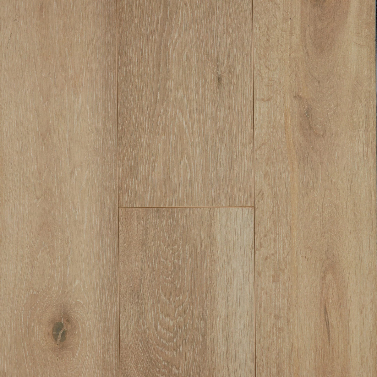 Preference Oakleaf HD PLUS AC4 Laminate Flooring 12mm Delta Sand Swatch
