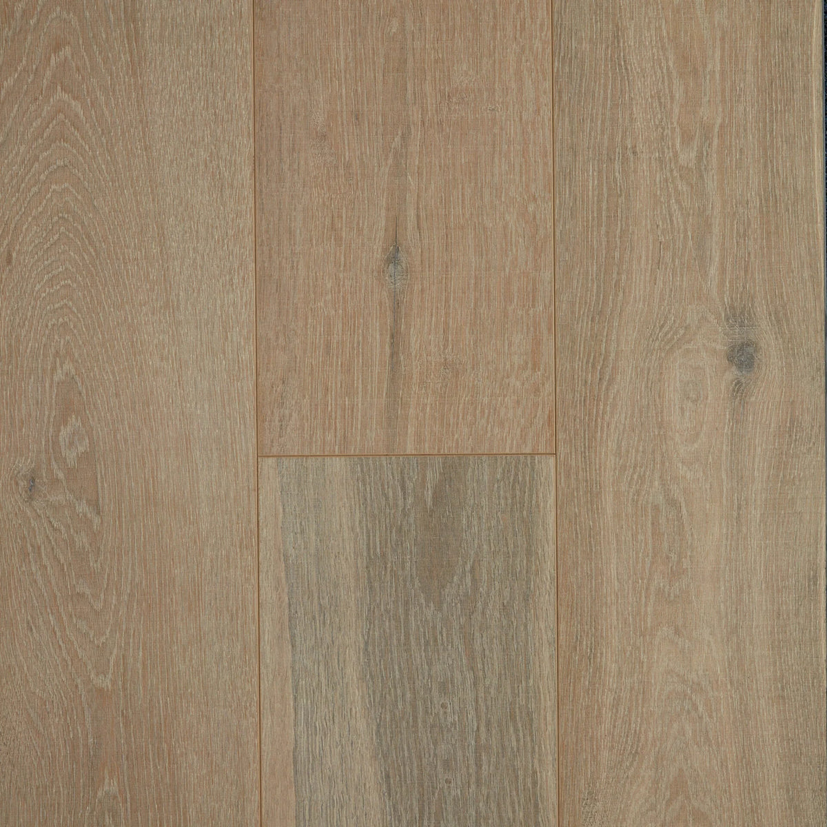Preference Oakleaf HD PLUS AC4 Laminate Flooring 12mm Wolf Grey Swatch