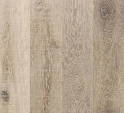 Preference Oakleaf HD PLUS AC4 Laminate Flooring 8mm Wolf Grey Swatch