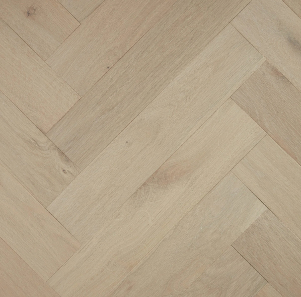 Preference Pronto European Oak Herringbone Engineered Timber Flooring 14/3mm Pebble Reef Swatch